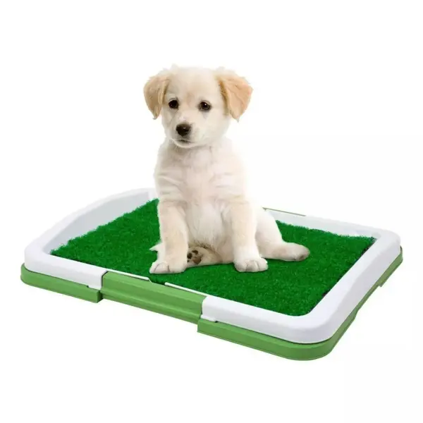 Indoor Hunde-WC mit Kunstrasen – Hundetoilette 47 × 34 × 6 cm